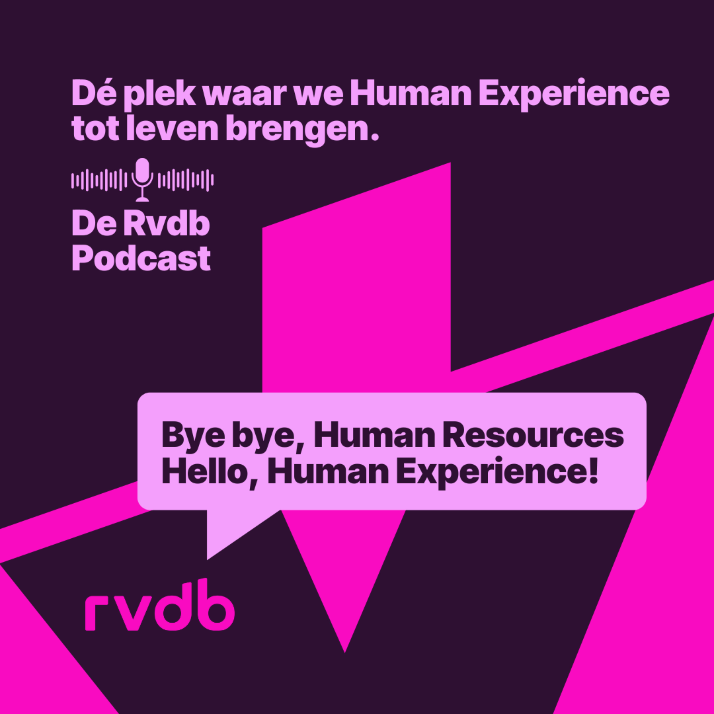 De Rvdb Podcast