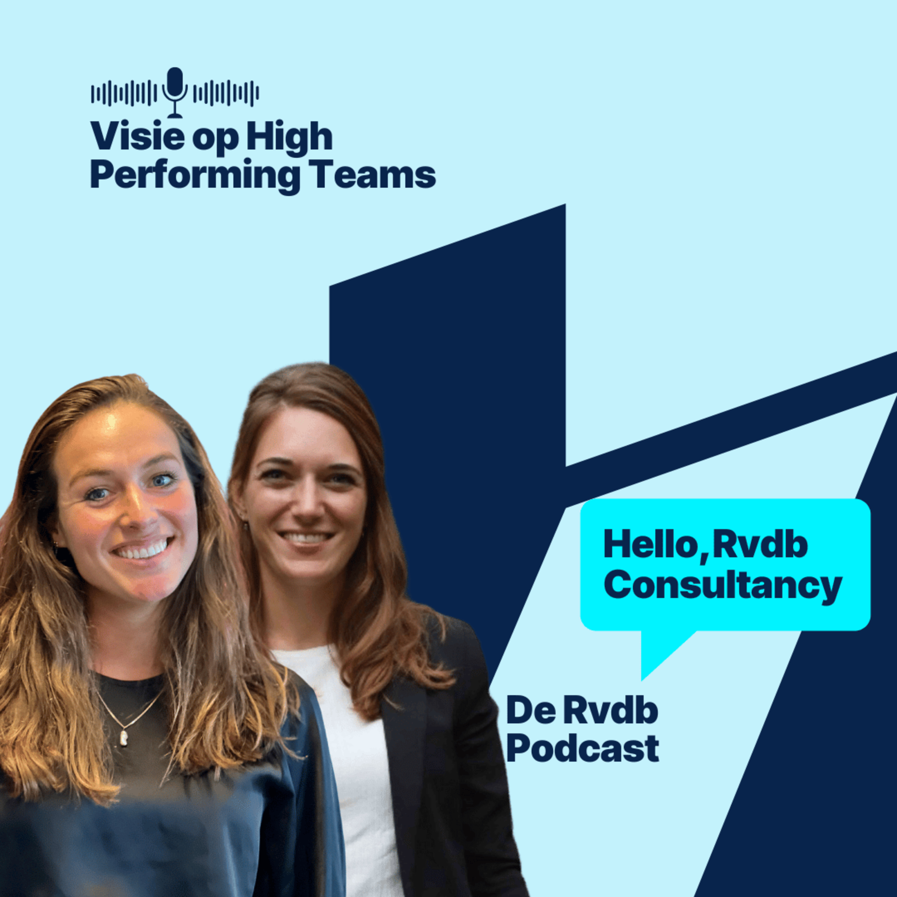 Rvdb Consultancy: Visie op High Performing Teams