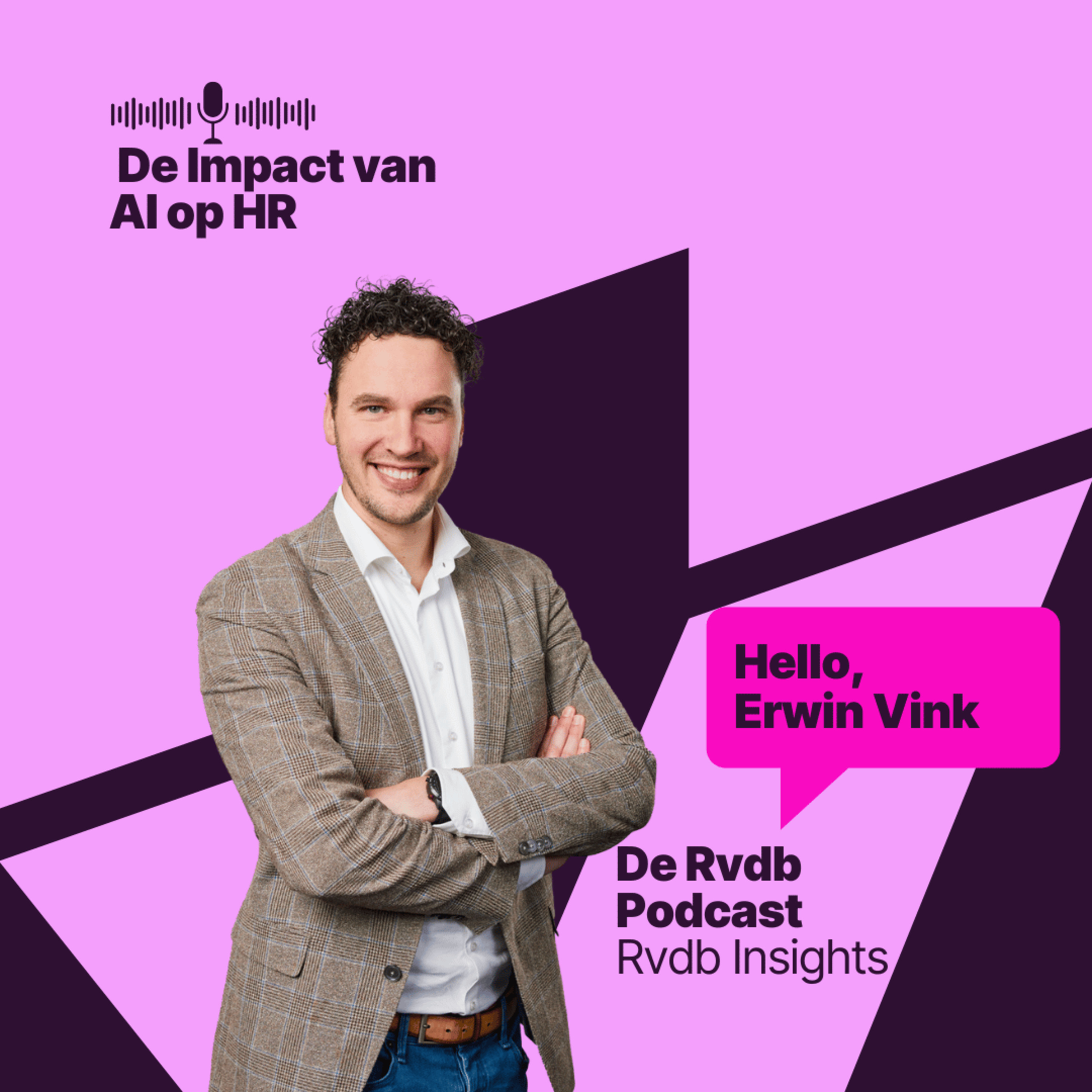 Rvdb Insights: HR en AI